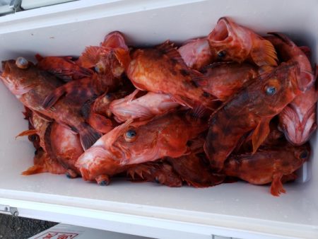 オーフリー 釣果