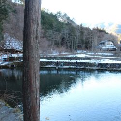 小菅トラウトガーデン 釣果