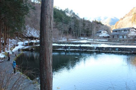 小菅トラウトガーデン 釣果