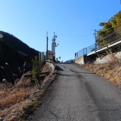 小菅トラウトガーデン 釣果