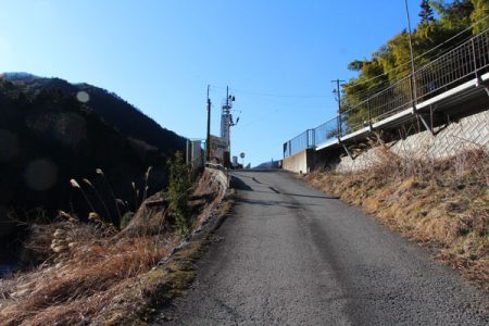 小菅トラウトガーデン 釣果