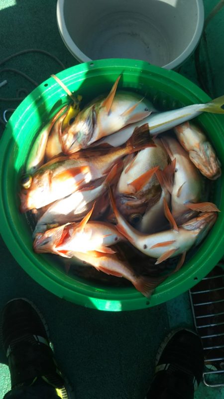 モンロー号 釣果