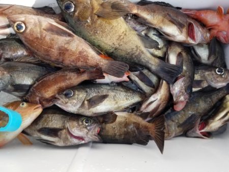 オーフリー 釣果