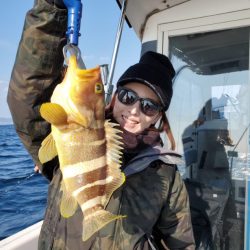 ブルーピア 釣果