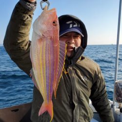 ブルーピア 釣果