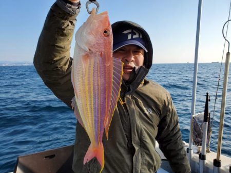 ブルーピア 釣果