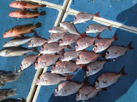 十八宝洋丸 釣果