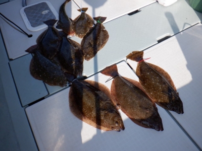 遊漁船 幸友丸 釣果