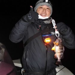 ルアー船マヒマヒ 釣果