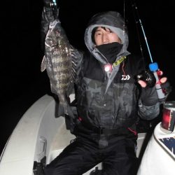 ルアー船マヒマヒ 釣果