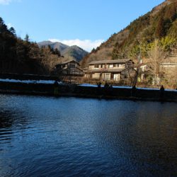 小菅トラウトガーデン 釣果