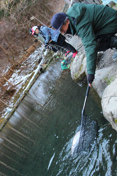 小菅トラウトガーデン 釣果
