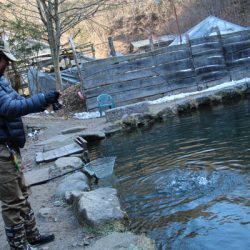 小菅トラウトガーデン 釣果