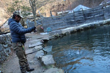 小菅トラウトガーデン 釣果