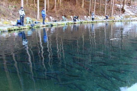 小菅トラウトガーデン 釣果