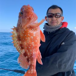 マタウマリンサービス 釣果