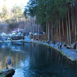 小菅トラウトガーデン 釣果