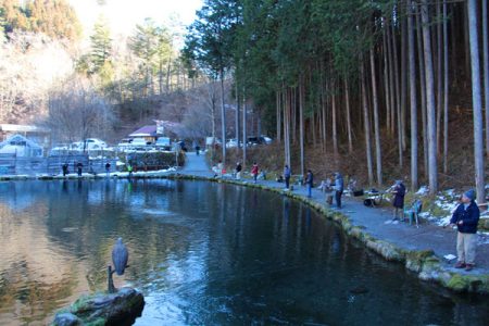 小菅トラウトガーデン 釣果