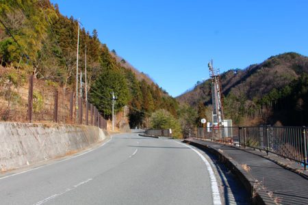 小菅トラウトガーデン 釣果