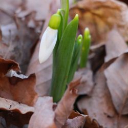 小菅トラウトガーデン 釣果