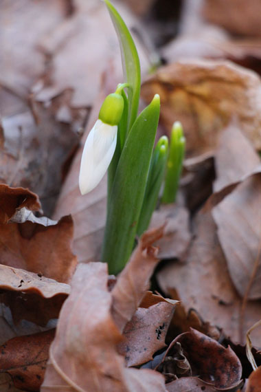小菅トラウトガーデン 釣果