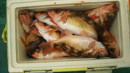 モンロー号 釣果