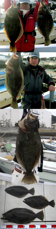 来温丸（らいおんまる） 釣果