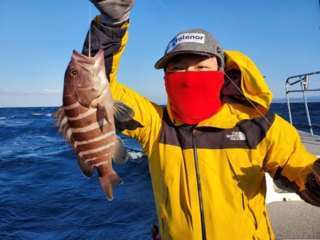 ブルーピア 釣果