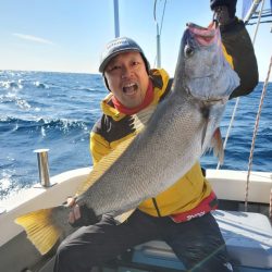 ブルーピア 釣果