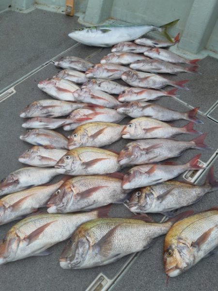 飛燕さくら丸 釣果