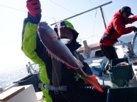 遊漁船 幸友丸 釣果