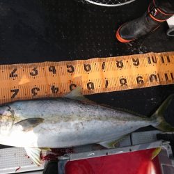 海龍丸（福岡） 釣果