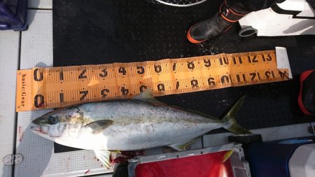 海龍丸（福岡） 釣果