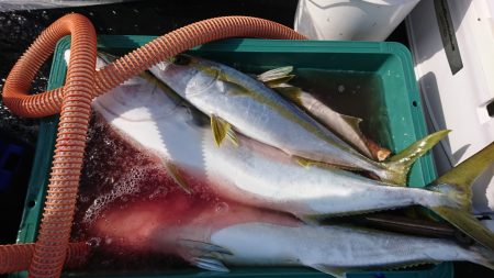 海龍丸（福岡） 釣果