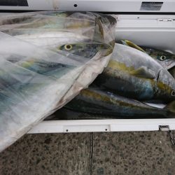 海龍丸（福岡） 釣果