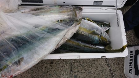 海龍丸（福岡） 釣果