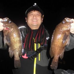 ルアー船マヒマヒ 釣果