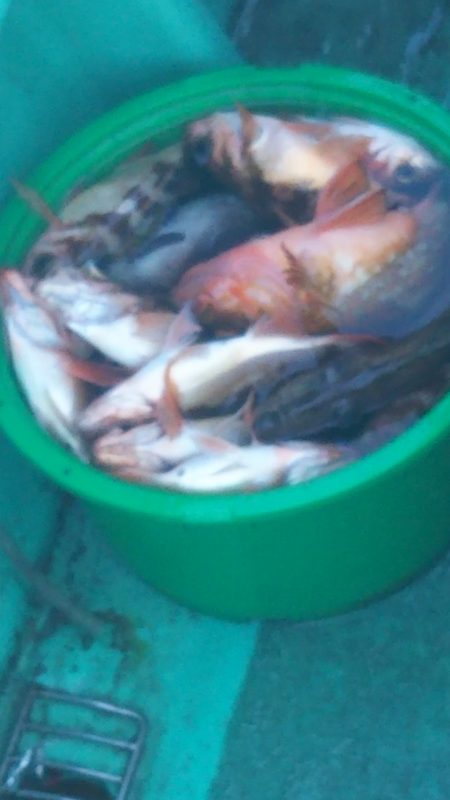 モンロー号 釣果