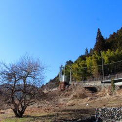 小菅トラウトガーデン 釣果