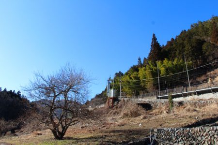 小菅トラウトガーデン 釣果