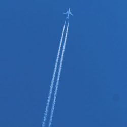 小菅トラウトガーデン 釣果