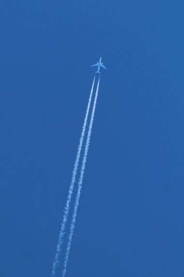 小菅トラウトガーデン 釣果