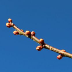 小菅トラウトガーデン 釣果