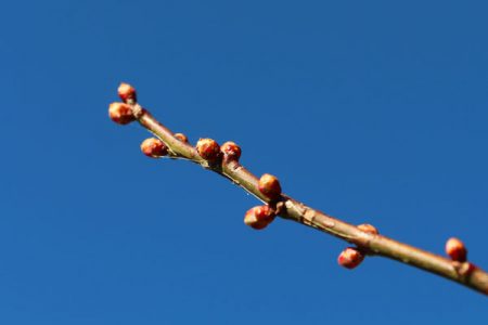 小菅トラウトガーデン 釣果