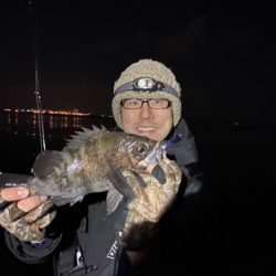 ルアー船マヒマヒ 釣果