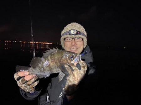 ルアー船マヒマヒ 釣果