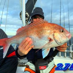 オーシャンマスター 釣果