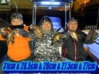 オーシャンマスター 釣果