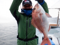 遊漁船 幸友丸 釣果