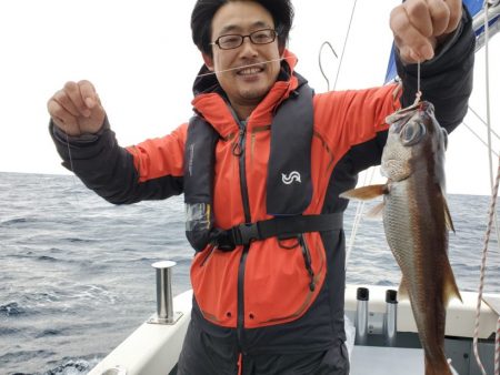 ブルーピア 釣果